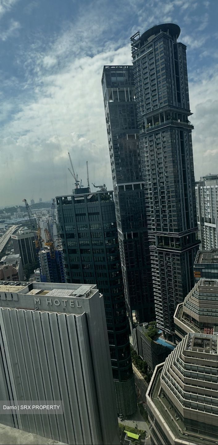 Skysuites@Anson (D2), Apartment #531481391